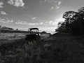 Love Is Blind  (Official Audio)