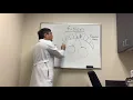 Fusion and Binocular vision