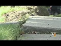Download Lagu DOT Denies Accusations Of Sidewalk Repair Double Standards