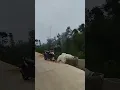 @SalamMun-m9d dolan dalan anyar bos