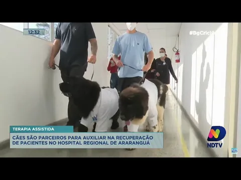 Cães são parceiros para auxiliar na recuperação de pacientes no Hospital Regional de Araranguá