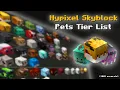 Ranking EVERY SINGLE PET in Hypixel Skyblock