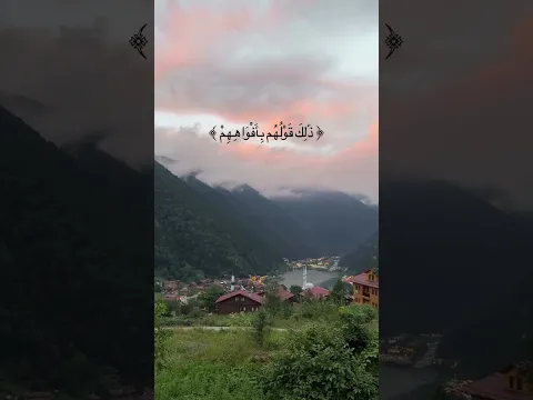 اسمع وريح سمعك الدقيقة.💚