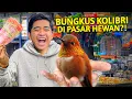 Download Lagu BELI BURUNG KOLIBRI TERKECIL DI DUNIA KE PASAR BURUNG SUKAHAJI BANDUNG?! IMUT BANGET!