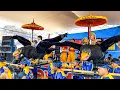 Download Lagu KOLABORASI RAJAWALI PANCA KOMARA FEAT GEOL JAIPONG - GENTRA MANDIRI JAYA
