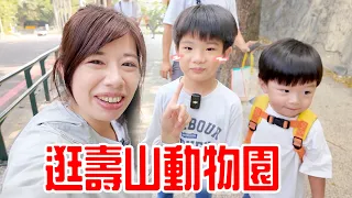 帶安安均均去壽山動物園!搭遊園小火車 看超萌水豚泡澡|恩媽日常