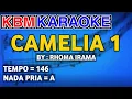 Download Lagu CAMELIA 1 - Rhoma Irama | KARAOKE HD