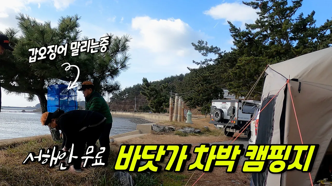 수산물 먹거리가 저렴한 바닷가 해변 무료캠핑지 サムネイル