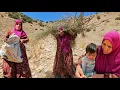 Download Lagu The difficult life of a nomadic woman alone in the mountains with her young child