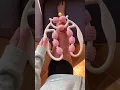 Best Massage Near Me Foot Spa Couples Deep Tissue Massage Trends 2025