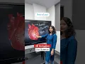Best Smart Board For Teaching Science With 3D Animation On Digital Board Panel - Heart Animation 3D