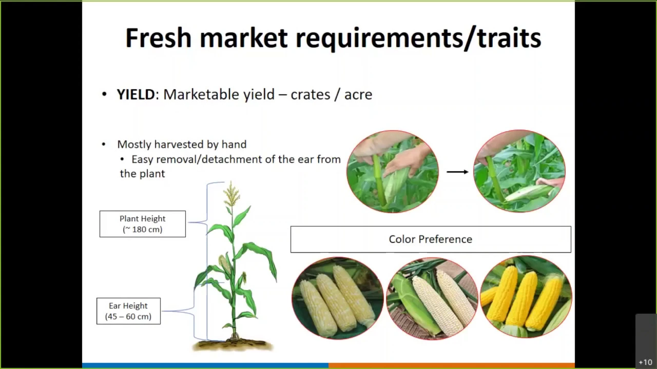 Dr. Marcio Resende 2020 R. F. Baker Plant Breeding Symposium