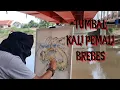 NGERRIII ... !!! TUMBAL KALI PEMALI BREBES 