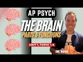 The Brain - Parts And Functions Neuroplasticity AP Psychology Unit 1 Topic 1 4