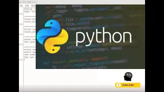 Print Input statement in Python Because Everyone Starts Small