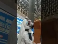 Peringatan Haul Abuya Al Habib Hasan bin Ahmad Baharun ke - 24 di Masjid Istiqlal Jakarta