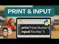 Funcion Print e Input - Python con Google Colab