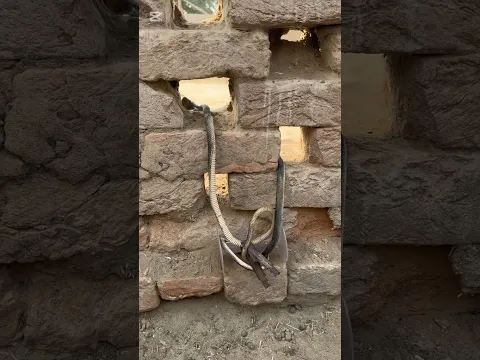 Snake Rescue Attempt | Safe Handling Village Area #shorts