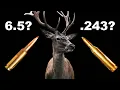 6 5 Creedmoor or 243 Winchester for Deer Hunt - Season 2 Episode 71