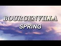 Download Lagu Bourgenvilla - Spring