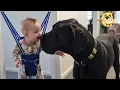Everyone Rejected This 150-Pound Great Dane Until He Saved My Daughter