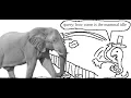query how come is the mammal idle
