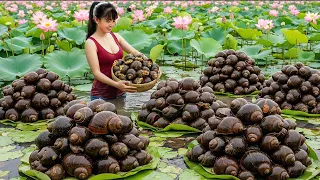 [TIMELAPSE] -- 288 Days Harvesting Many Stuffed Snails, Big Turtle, Frog - Sell Them At The Market
