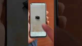                     دندنها