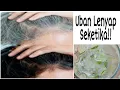 Download Lagu UBAN HILANG SAMPAI KE AKARNYA!! CUKUP GUNAKAN SAAT MANDI