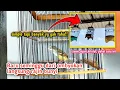 Download Lagu ORANG2 PADA GAK TAU, CARA SEDERHANA INI EFEKTIF UNTUK MENGGACORKAN CIBLEK KEBON‼️