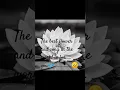 Download Lagu without colour in life............🎶.  saiyaaa has represent in this movement.....☺️☺️
