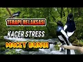 Download Lagu TERAPI BURUNG KACER STRES MACET BUNYI || KACER OMBYOKAN