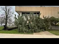 Thursday storms knock out power in Storm Lake