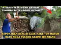Download Lagu DILUAR NALAR ! SEPASANG LANSIA HIDUP DI TENGAH HUTAN  ANGKER - BANYUMAS