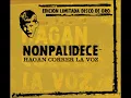 Nonpalidece - Love song (AUDIO)