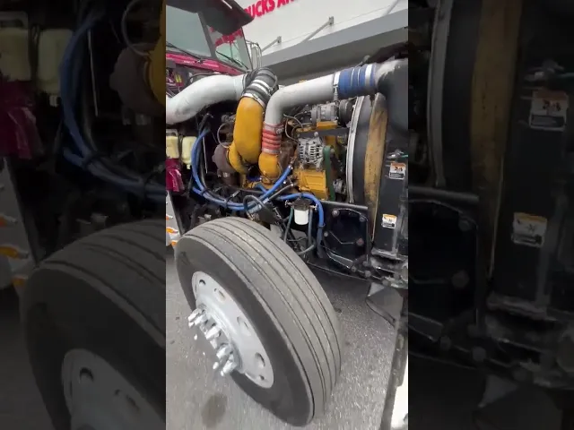 View Video