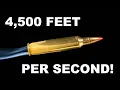 204 Ruger Little Cartridge with BIG Punch