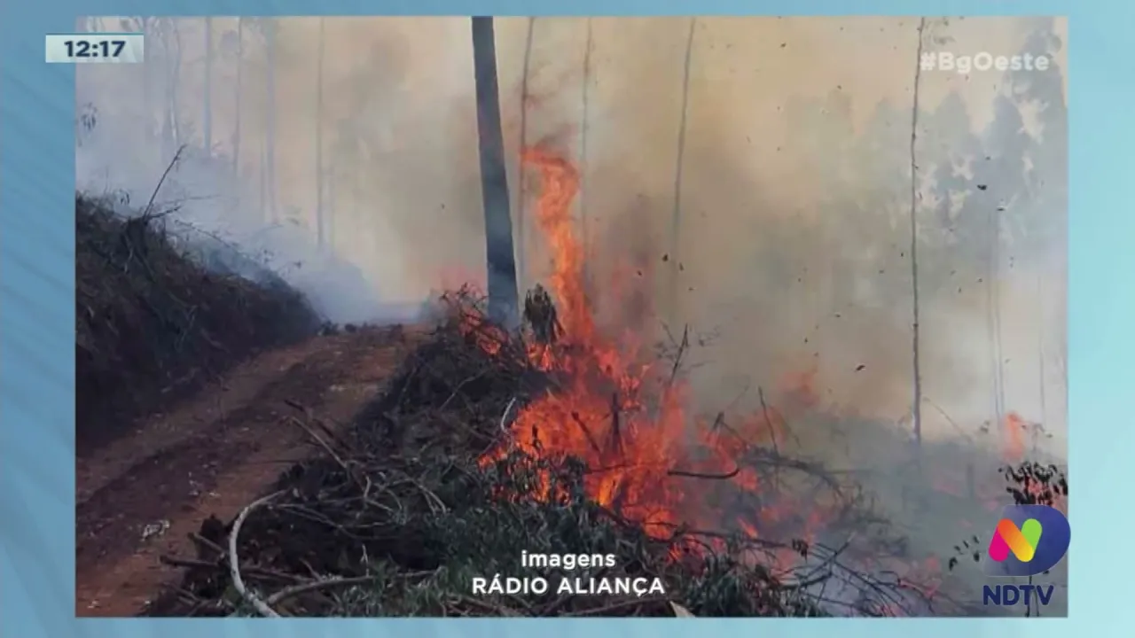 Bombeiros Voluntários combatem incêndio em área de reflorestamento em Concórdia