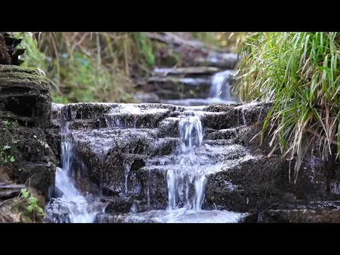 Download MP3 8 Hours Relaxing Waterfall Nature Sounds Calming Birdsong Sound of Water Forest Relaxation