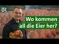 Download Lagu Besuch bei den Legehennen: Können Landwirte die Eierproduktion vor Ostern steuern? | Unser Land | BR