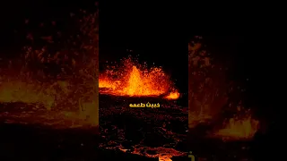 ف س و ف ي ل ق و ن غ ي ا 