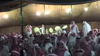 سامري العصفور في الحائر    دندنها
