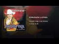 El Muchacho y el Potro