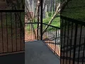 Rabun Virtual Tour