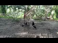 Download Lagu Suara Burung Murai Kampung..Si.Selumbar