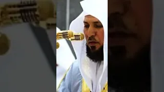 سورة يوسف   القارئ ماهر المعيقلي دندنها