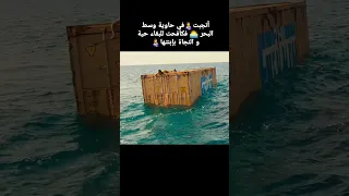 أنجب طفلها في الحاوية وسط البحر 