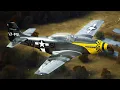 Review of the ScaleWings SW-51 Mustang