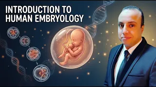 Introduction to human embryology مقدمة مهمة فى علم الأجنة للمقبلين على دراسة الطب