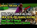 Download Lagu WAJIB TONTON..!! 5 JANJI ALLAH BAGI YANG MEMELIHARA KUCING, No.5 Paling Diharapkan